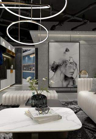 �׸���˹• INSϵ�У�Ʒ�|����ē������b��Ч���D